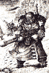 An Imperial Ice Warrior,